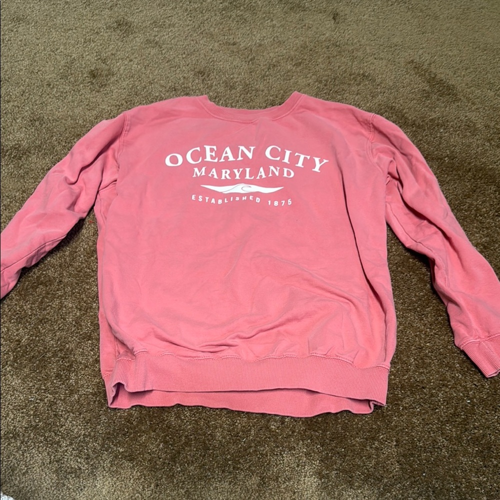 Pink Crewneck Sweater with Ocean City Print